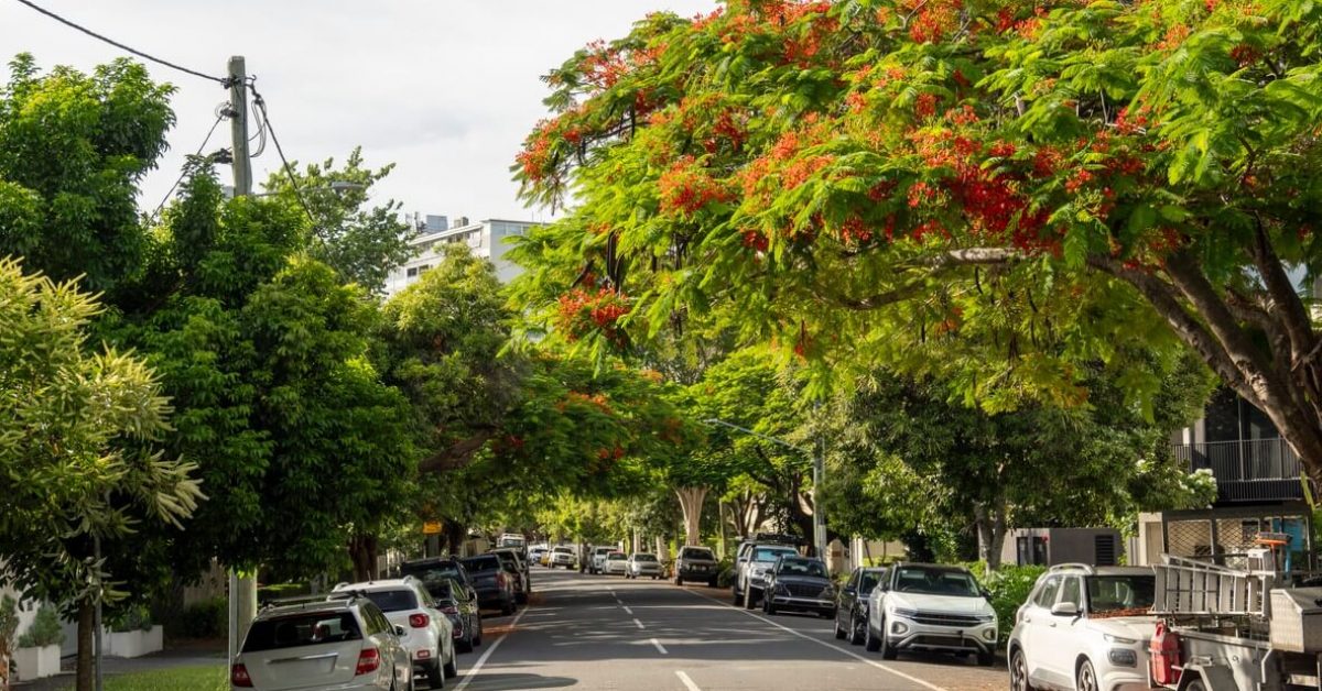 BrisbaneSuburb