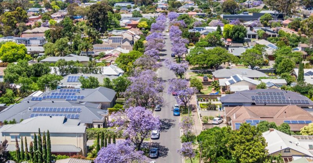 South Australian Property Market